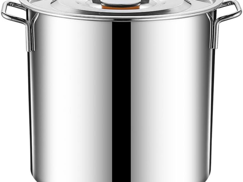 Stainless Steel Induction Stock Pot, 25x25cm, Lid