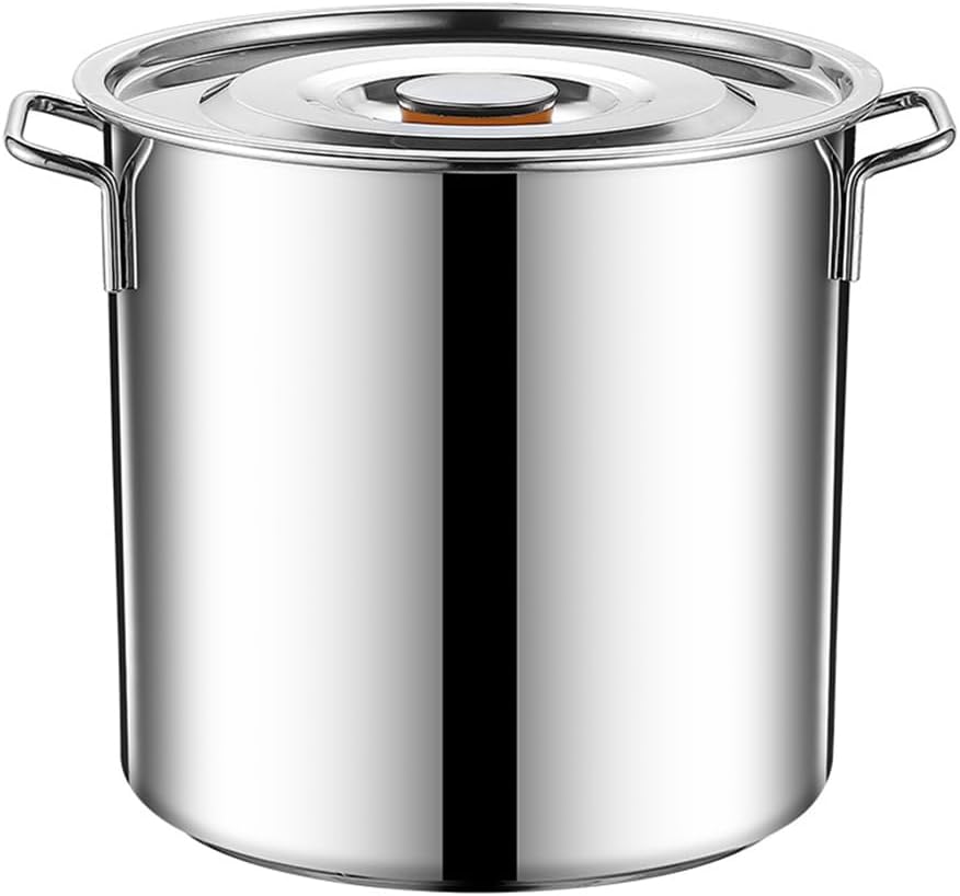 Stainless Steel Induction Stock Pot, 25x25cm, Lid