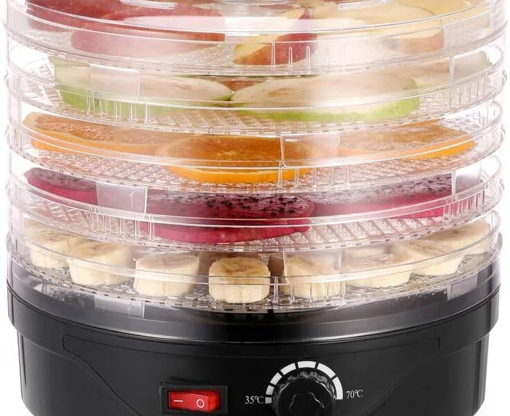 Devanti 5-Tray Food Dehydrator, 245W with Temperature Control
