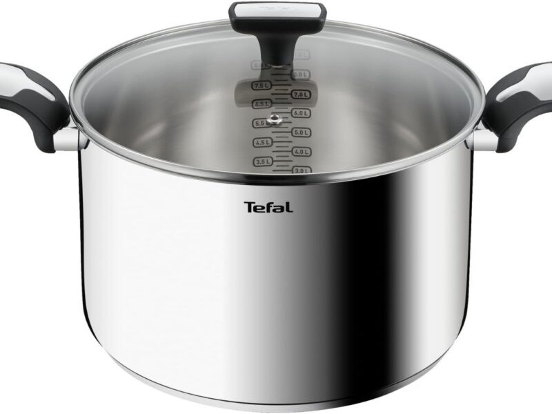 Tefal Emotion Stainless Steel Stockpot, 28 cm