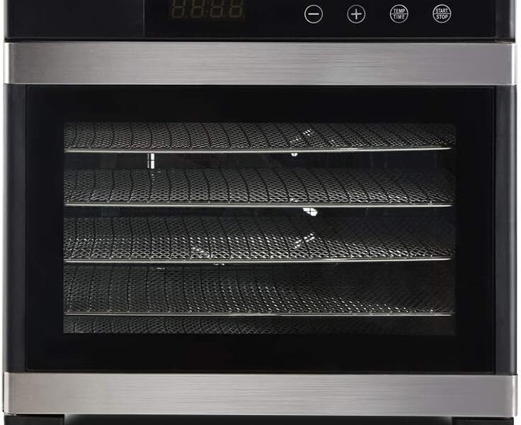 Devanti 6-Tray Stainless Steel Dehydrator, 650W LCD Touchscreen & Timer