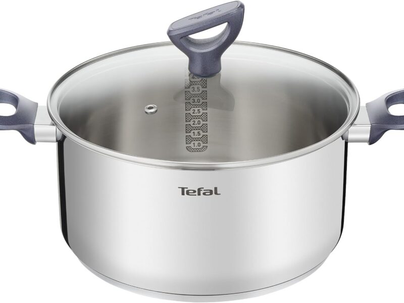 Tefal Daily Cook Stainless Steel Stewpot, 24cm, 5L with Lid