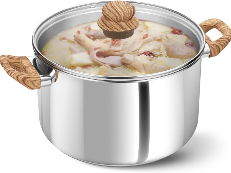 KOCH SYSTEME CS Stainless Steel StockPot, 8L, Glass Lid