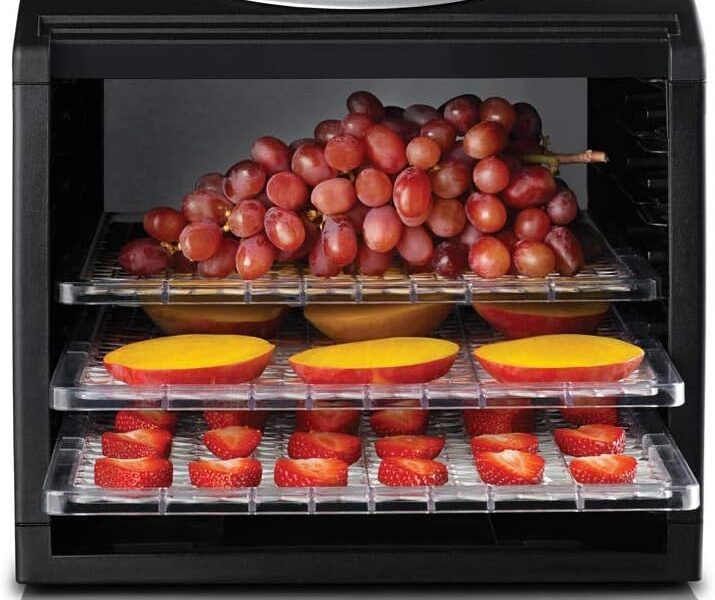 Sunbeam Food Lab DT6000 Electronic Dehydrator, 500W with 8 Temperatures