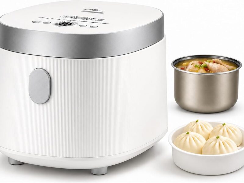 AIZYZYO 2.5L 15-in-1 Rice Cooker