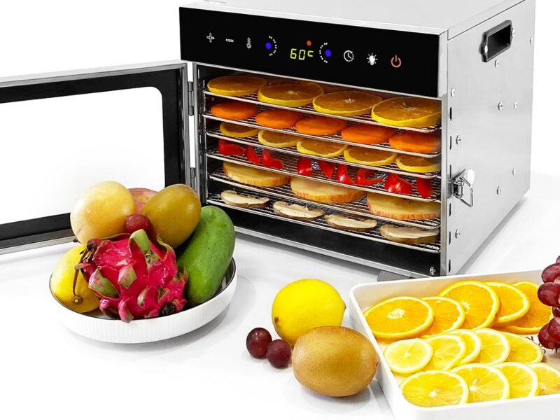 Oiyocemo 6-Tray Stainless Steel Food Dehydrator, 30-90°C & 24H Timer