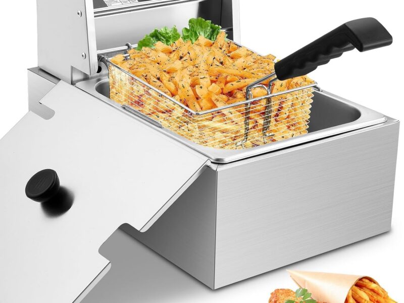 10L Electric Deep Fryer, 2500W with Basket