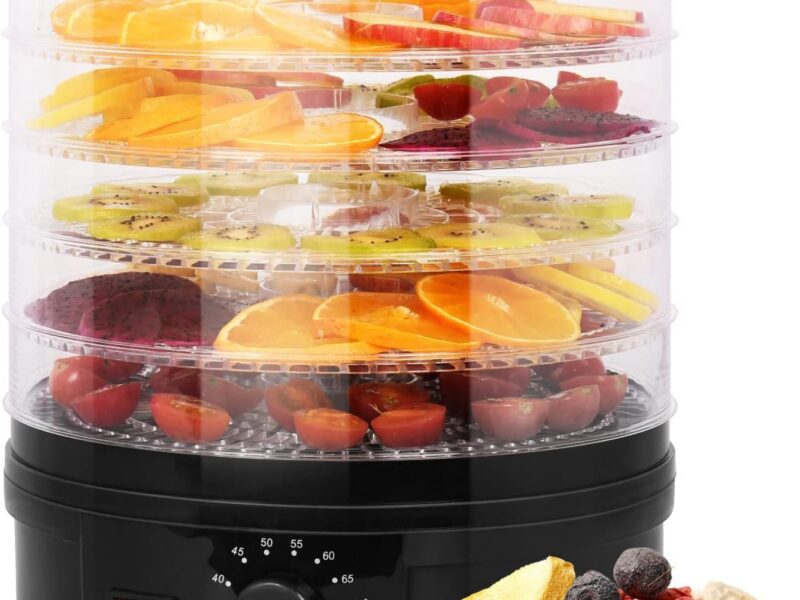 5-Layer Electric Food Dehydrator, Temperature Control & High-Heat Circulation