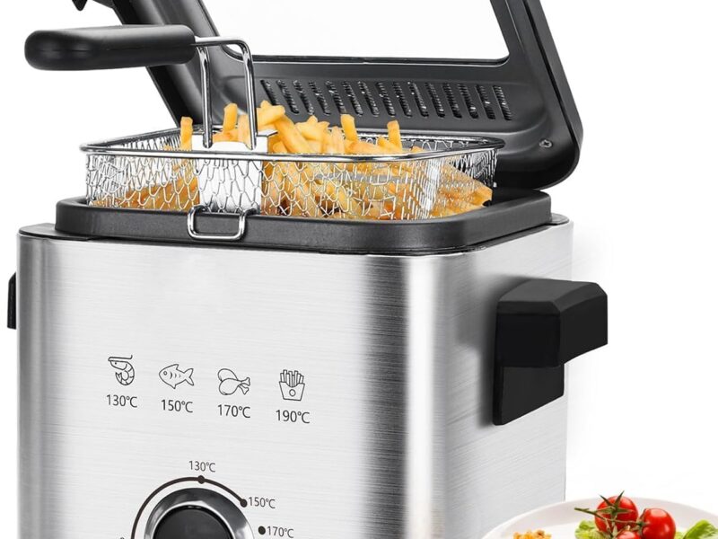 2.5L Stainless Steel Deep Fryer, 1000W Temperature Control