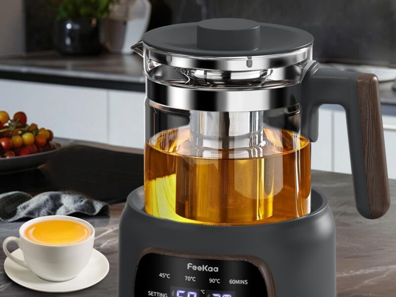 Feekaa Temperature Control Glass Tea Kettle with Infuser