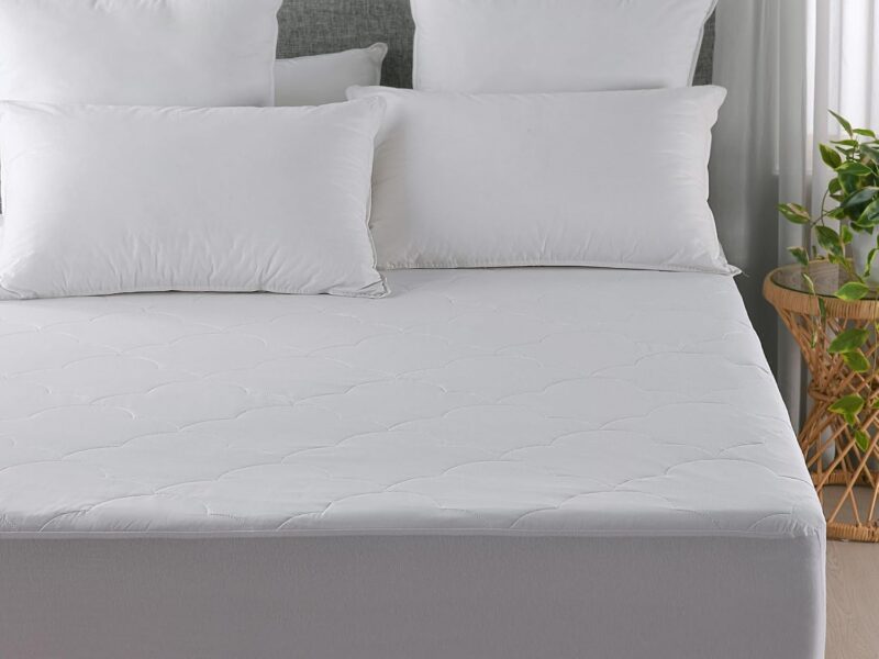 Dreamaker Queen Cotton Filled Quilted Mattress Protector