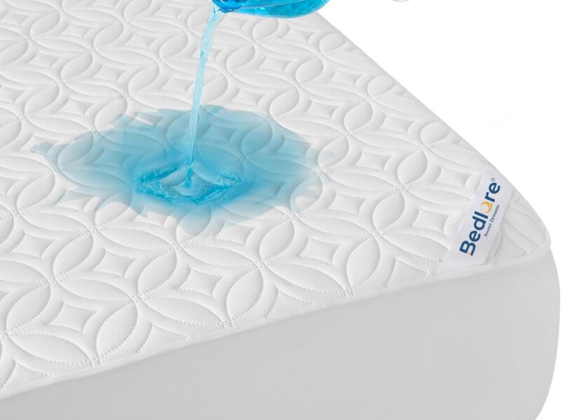BEDLORE Queen Waterproof Mattress Protector